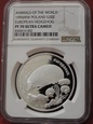 NGC 20 ZŁ JEŻ , PF70 MAX