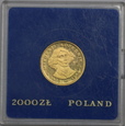 zdjęcie główne