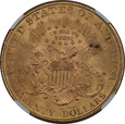 USA, 20 Dolarów Liberty Head 1900 rok, NGC MS 63
