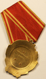 Rosja order Lenina, Leningrad, Rosja, złoto i platyna, wstążka/K33/