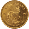 RPA Krugerrand 1972 rok /P/31.1 czystego złota