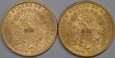 USA, ŁADNA PARKA 20 Dolarów, Liberty Head 1894 i 1895 S rok
