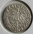 Moneta Półgrosz Zygmunt II August 1551r Wilno 