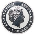 1 dolar - Koala australijski - Australia - 2013 rok