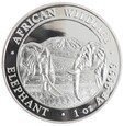 100 szylingów - Słoń afrykański - Somalia - 2020 rok