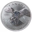 5 dolarów - Ptaki drapieżne Kanady-sokół wędrowny - Kanada - 2014