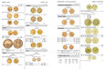 Katalog Złotych Monet Świata - Gold Coins of The World - Friedberg