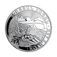 500 dramów - Arka Noego - Armenia - 2020 rok