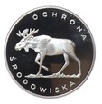 zdjęcie główne