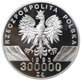 300 000 złotych - Jaskółki Hirundindae - 1993 rok