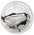 Moneta 20 zł - Ropucha paskówka - 1998 rok