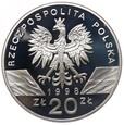 Moneta 20 zł - Ropucha paskówka - 1998 rok