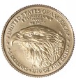 5 Dolarów - Amerykański Orzeł - 1/10 Uncji -  USA - 2021 rok