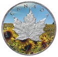 5 dolarów - 4 pory roku - Lato - Kanada - 2013 rok