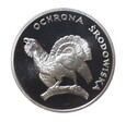 zdjęcie główne