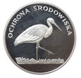 zdjęcie główne