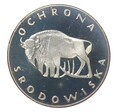 zdjęcie główne