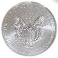 1 dolar - Amerykański Srebrny Orzeł - USA - 2015 rok