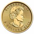 5 dolarów - Liść Klonowy - 1/10 Uncji -  Kanada - 2022 rok