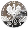 300 000 złotych - Jaskółki Hirundindae - 1993 rok