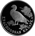 Rosja 1994 - 1 Rubel Bernikla