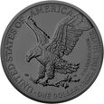 USA 2024 - American Eagle 2024 Ag999,9 1oz Multi Holo