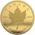 Canada 2021 - 25 Gram Maplegram Au999,9 25x1g PROMOCJA 