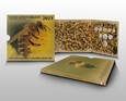PROMOCJA!!! Blister - Polskie Monety Obiegowe 2021 Pszczoła Miodna 