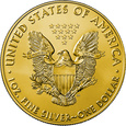 USA 2020 - American Eagle Ag9999 1oz Rising Phoenix