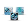 China Panda 2023 Four Seasons: Winter Ag999 30g
