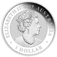 Australia - 1 dollar 2019 Bird of paradise 1 oz Ag999