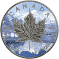 Kanada 2017 - 1 dollar Maple Leaf Winter