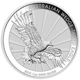 Australia 2019 - Wedge - Tailed Eagle Ag999 1 oz.  NAJTANIEJ!!!
