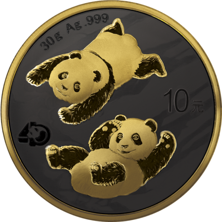China 2022 - Panda Ag999 30g Golden Night