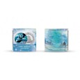 China Panda 2023 Four Seasons: Winter Ag999 30g