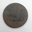 1 Grosz Polski Królestwo Kongresowe 1830 FH