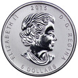 Kanada 5 Dolarów 2015 - Sowa, Uncja srebra, st. 1
