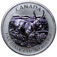 Kanada 5 Dolarów 2013, Antylopa Widłoroga, 1oz, Ag999, st. 1