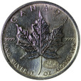 Kanada 5 Dolarów 2000 - Liść Klonu (Kontrmarka), Uncja Srebra
