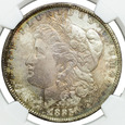 USA 1 dolar 1885 O, Morgan Dollar, NGC MS64