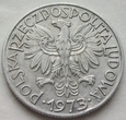 P - POLSKA - PRL : 5 złotych - 1973 - RYBAK - aluminium / 3