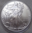 USA - srebrny dolar - 2010 - UNCJA - ag 999