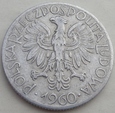 P - 5 złotych - 1960 - RYBAK - aluminium / 3