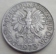 P - 5 złotych - 1973 - RYBAK - aluminium / 4