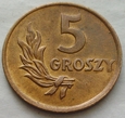 POLSKA - PRL : 5 groszy - 1949 - brąz / 2