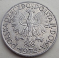 P - 5 złotych - 1974 - RYBAK - aluminium / 1