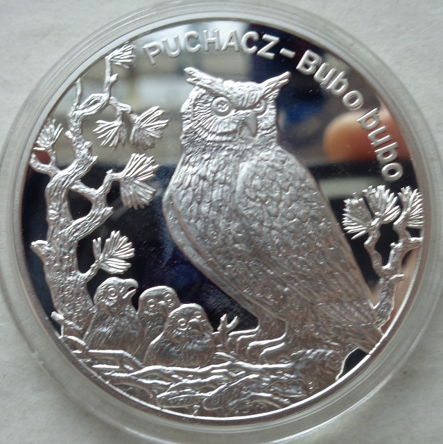 20 złotych - PUCHACZ - 2005