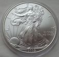 USA - srebrny dolar - 2009 - UNCJA - ag 999