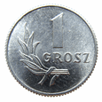 Polska 1 Grosz 1949 - 30 sztuk idealne z worka