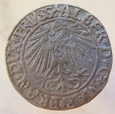Niemcy Prusy Książęce Grosz 1545 R3 długa broda